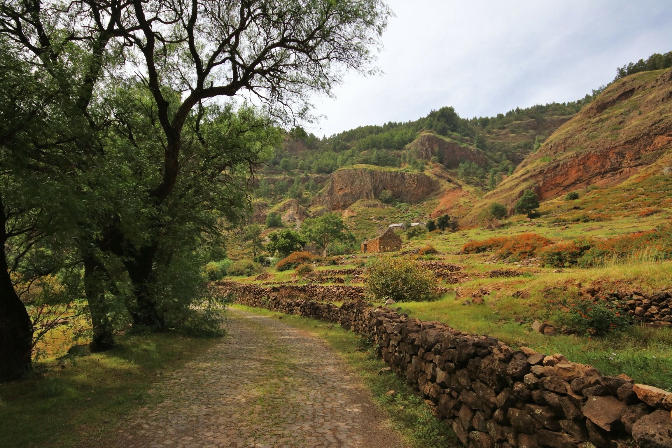 The Cova Crater has such fertile soil the extinct volcano has been filled with crops and cattle, even roads and ruined houses. Stroll around inside the crater before taking the long hike down the Valé do Paul. 