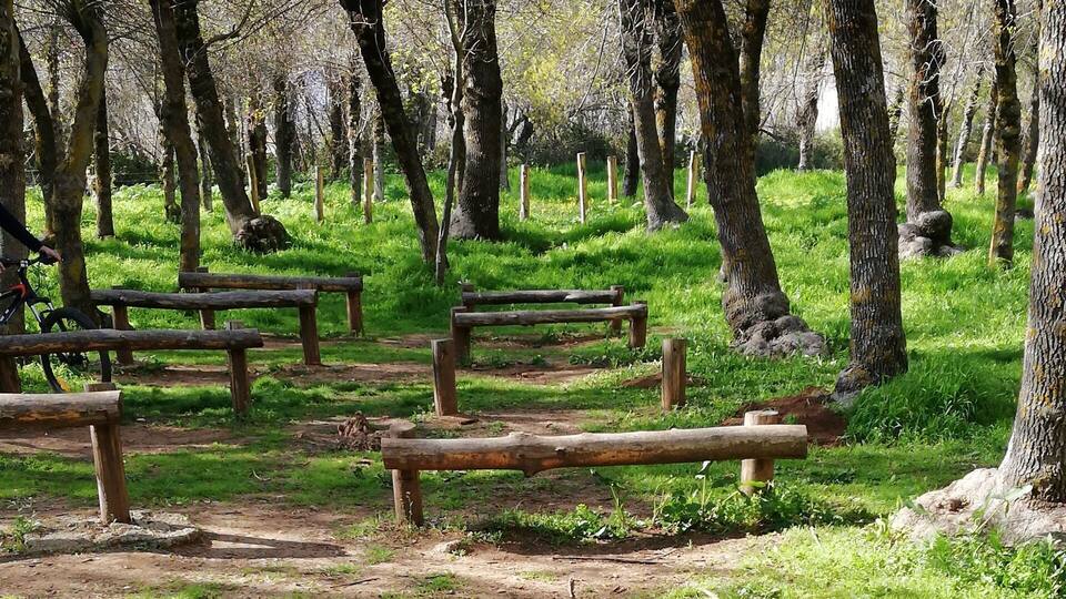 A park with wooden benches and trees.
