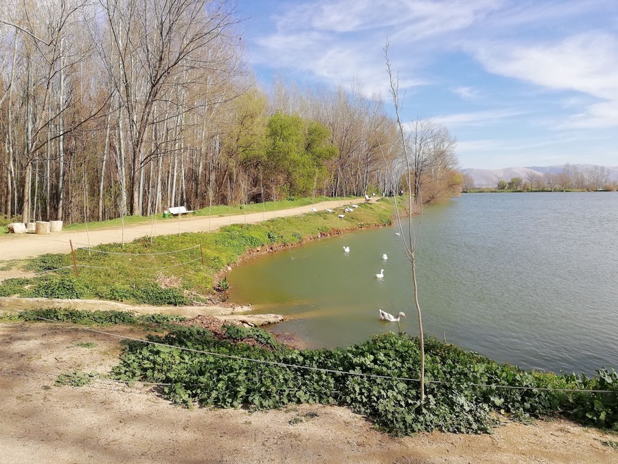 Taanayel Lake!