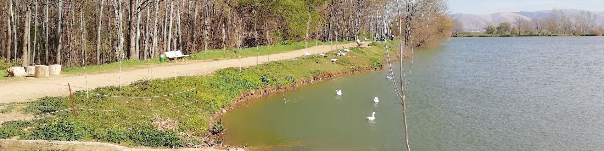 Taanayel Lake!