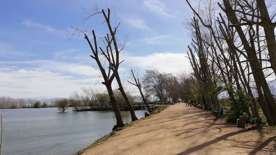 A dirt path beside a calm river, with leafless trees and a clear sky.