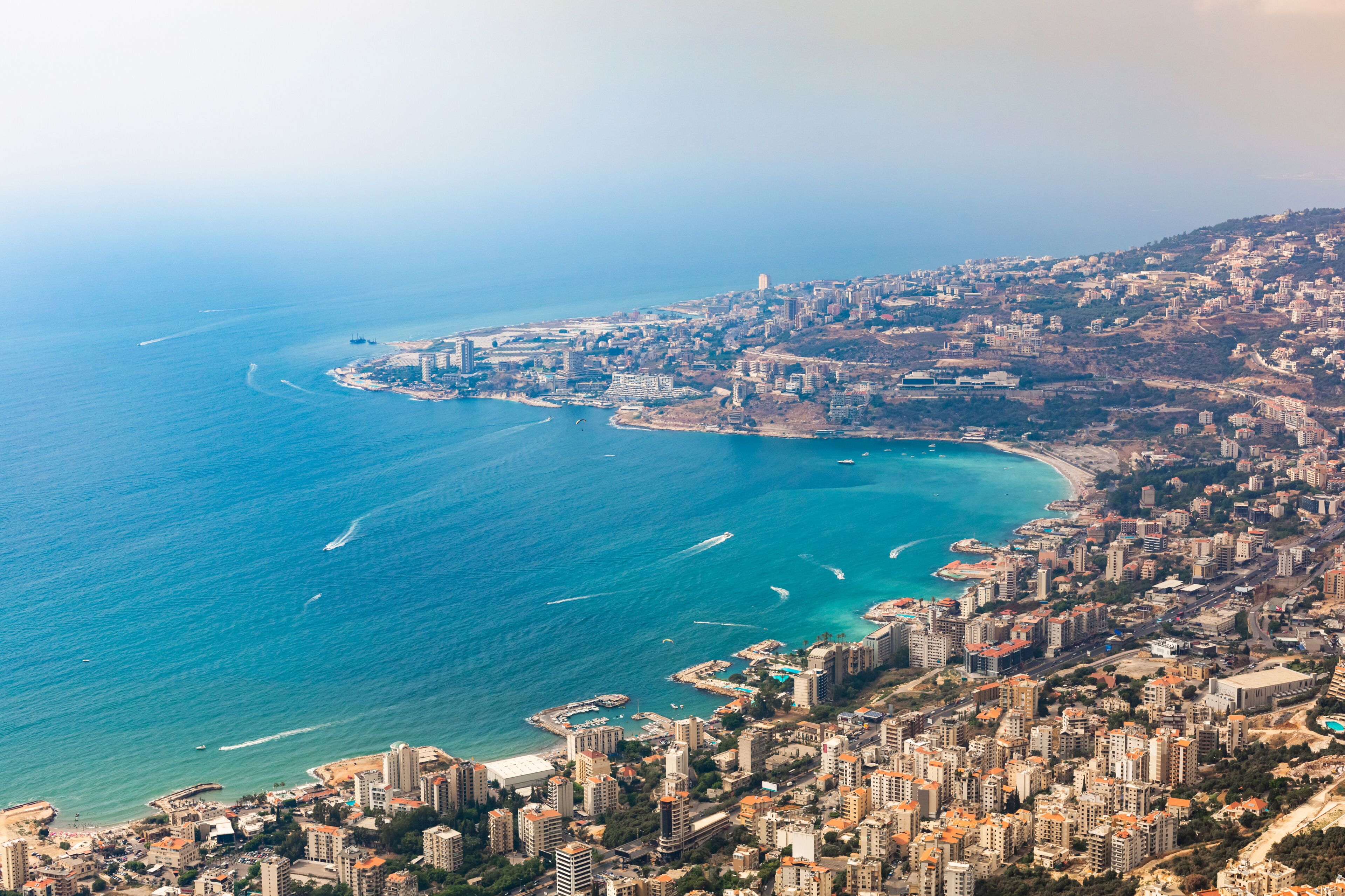 Harissa