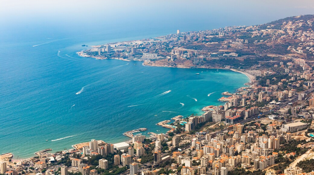 Harissa