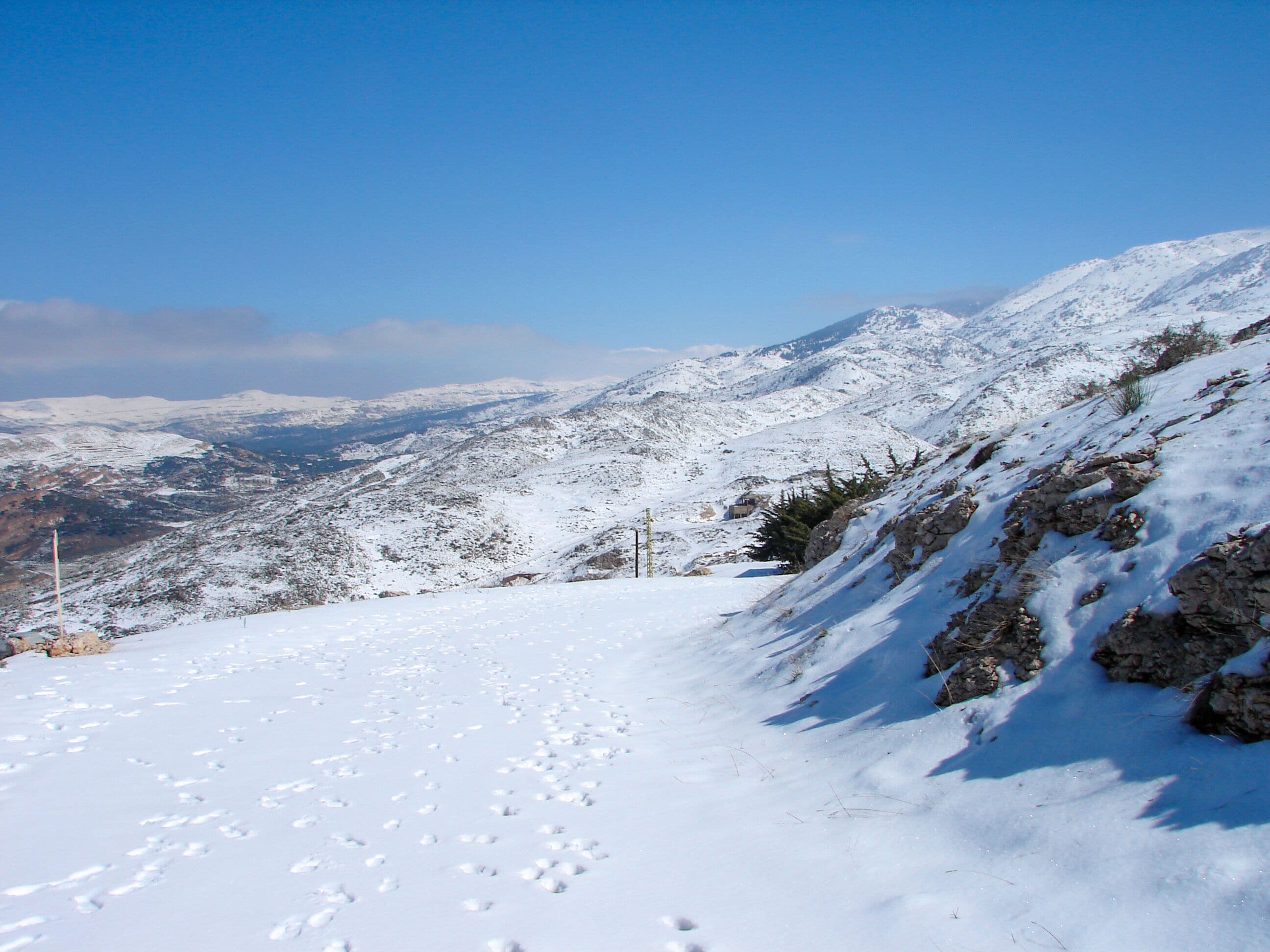 Arz al Barouk Lebanon cedars snow season