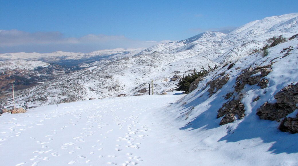 Arz al Barouk Lebanon cedars snow season