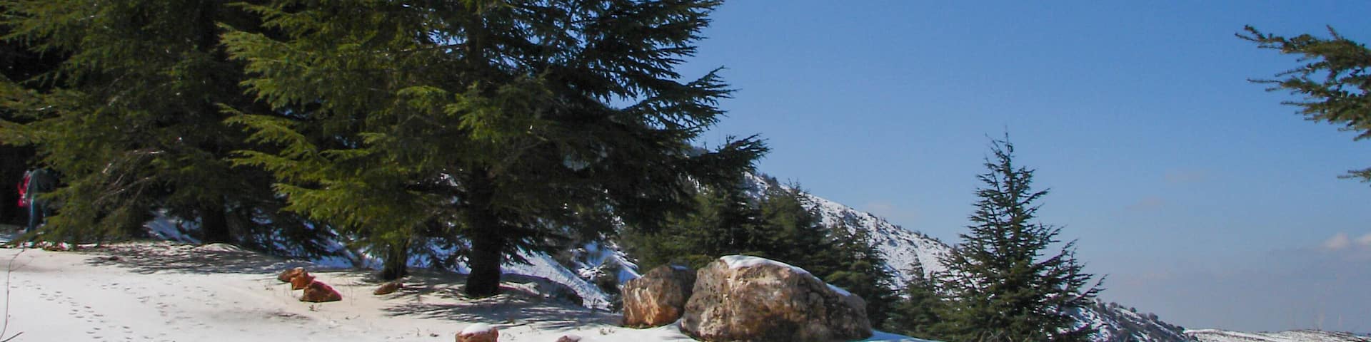 Arz al Barouk Lebanon cedars snow season