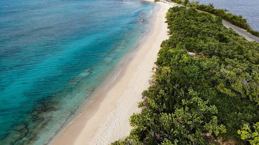 Drone shot looking down the beach on an island with palm trees