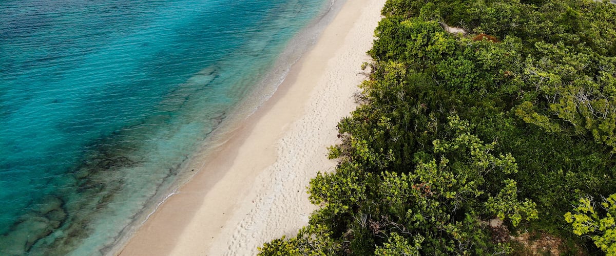 A coastal landscape with a sandy beach, dense green vegetation, and a clear blue sea.