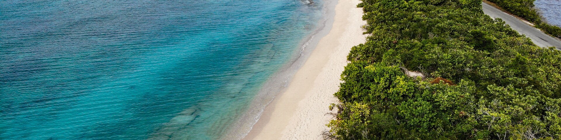 A coastal landscape with a sandy beach, dense green vegetation, and a clear blue sea.