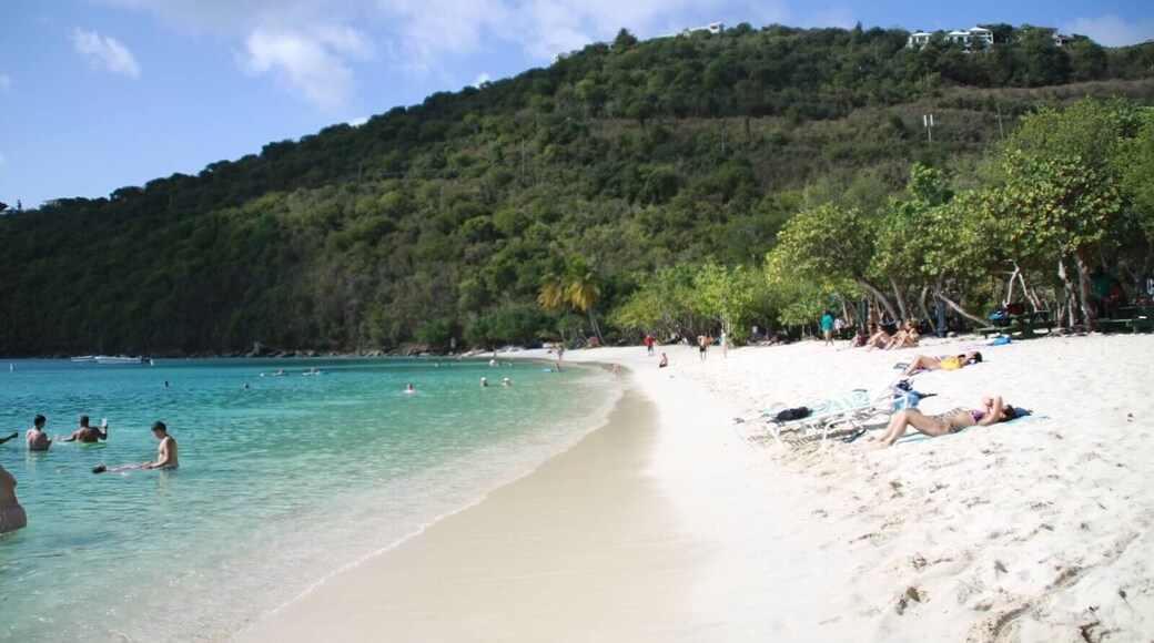 Driving in St. Thomas was a bit sketchy but we made it in one piece and the view was worth it!