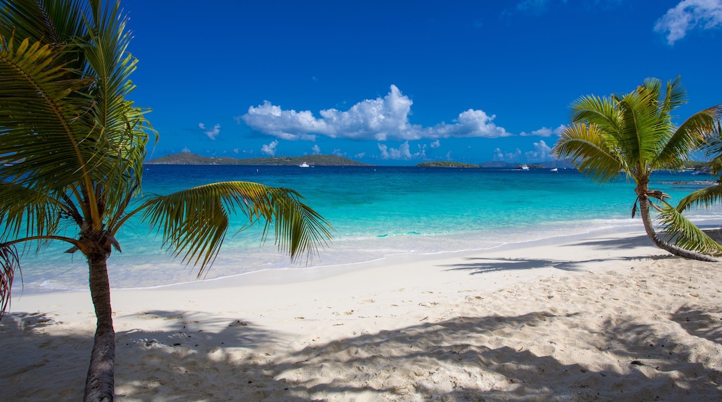 Solomon Beach in Virgin Islands National Park on the Caribbean Island of St John in the US Virgin Islands