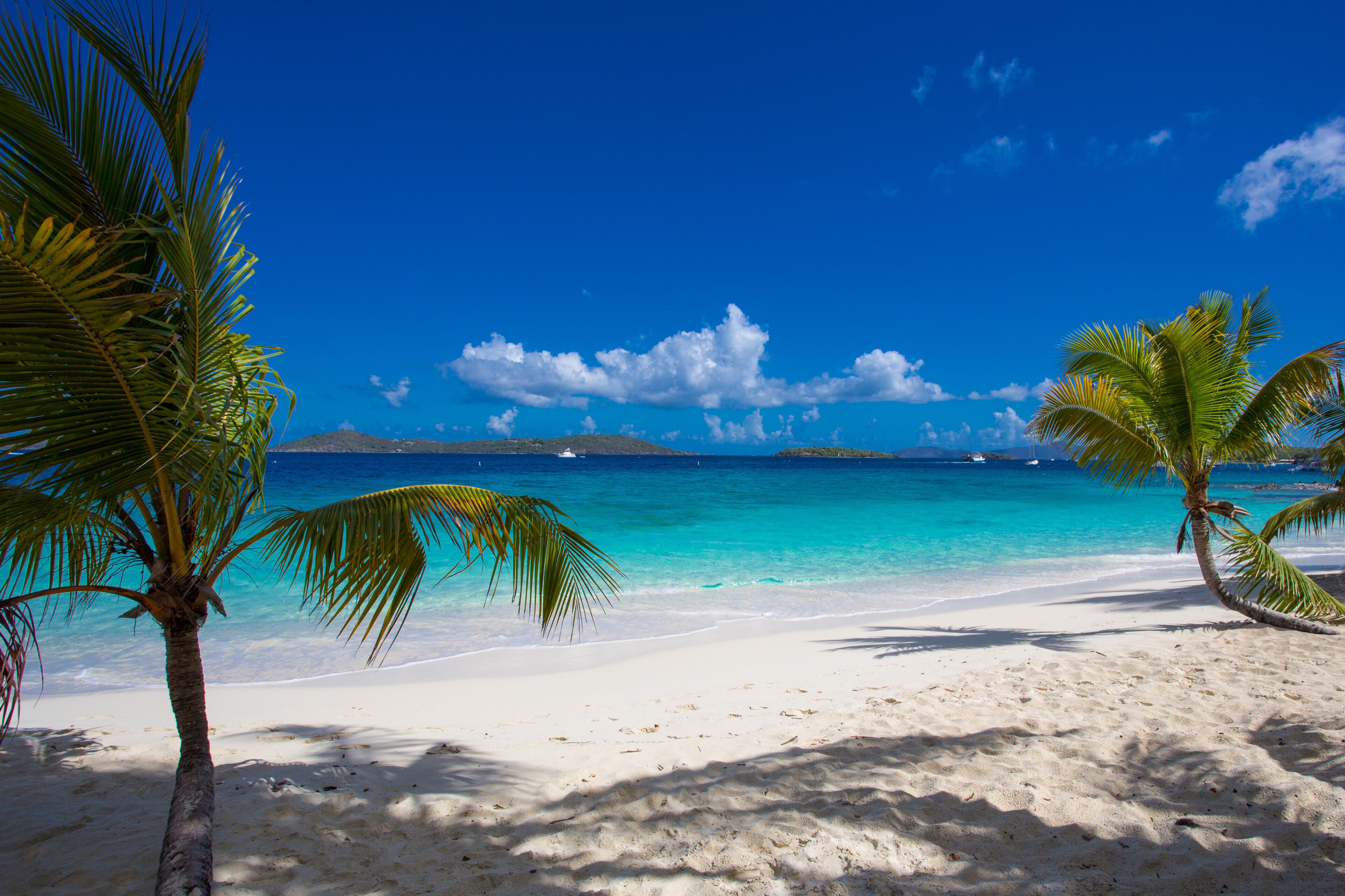 A beach with white sand, turquoise water, and palm trees under a clear blue sky.