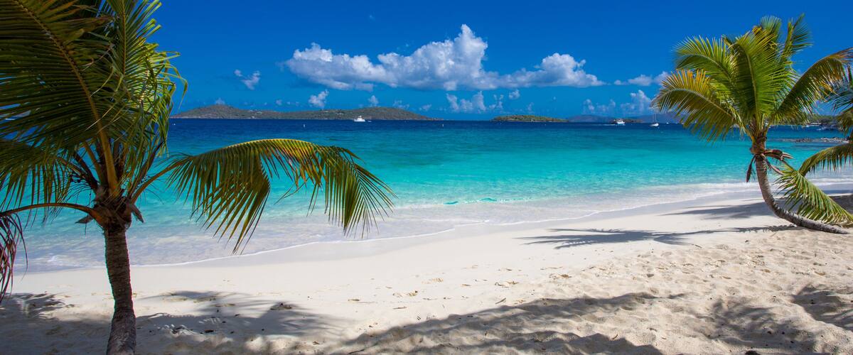 A beach with white sand, turquoise water, and palm trees under a clear blue sky.