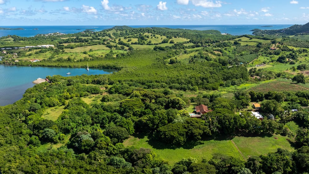 A coastal landscape with rolling hills, a bay with boats, and scattered buildings.