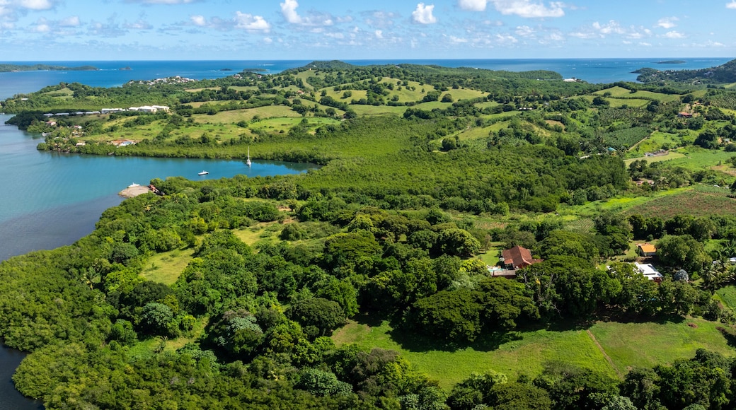 aerial view of Martinique landscape around Bay of Robert, a large bay on the Atlantic east coast of Martinique with many small islets, surrounded by green, hilly landscape