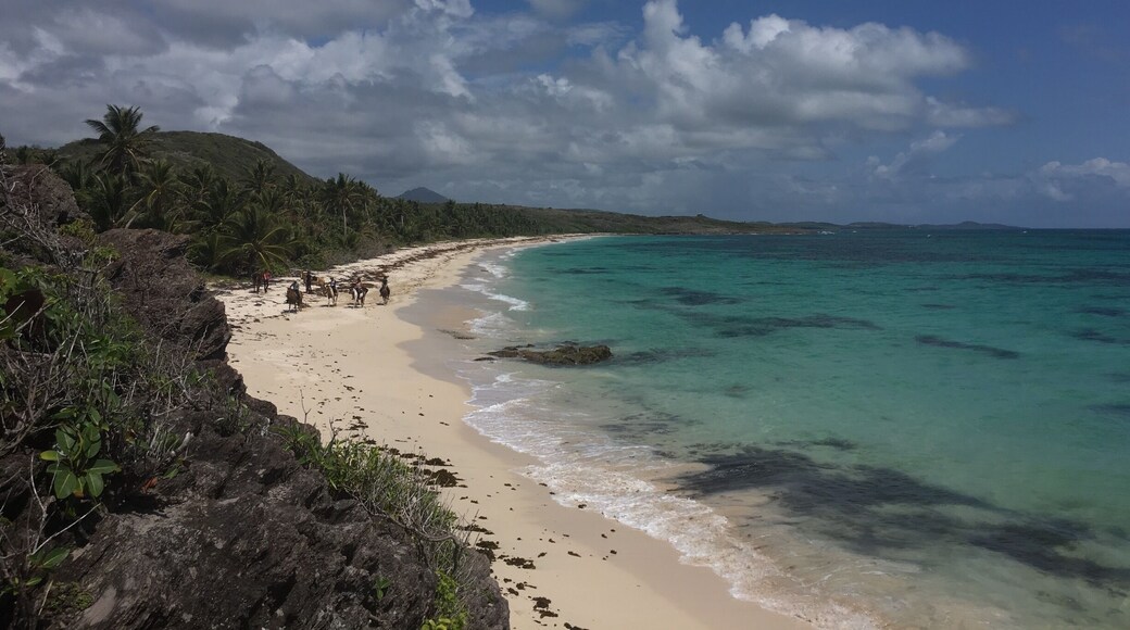 Absolute paradise. You have to walk a bit to get to this beach, but it's totally worth it because as well as being beautiful it's more or less empty.