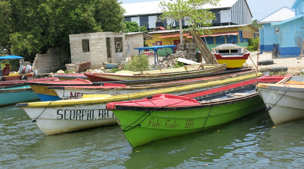 Boats on the Black River, Jamaica