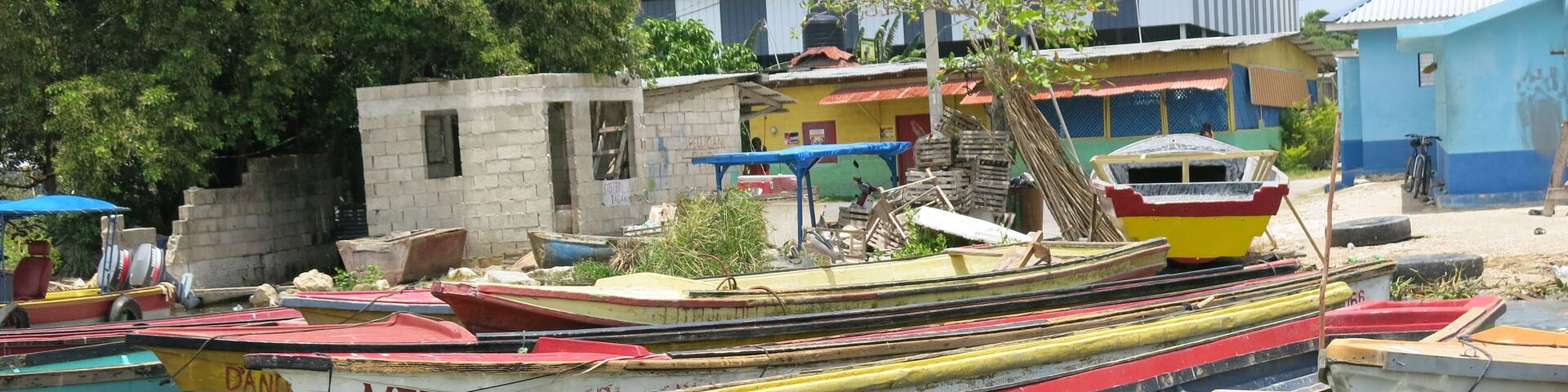 Boats on the Black River, Jamaica