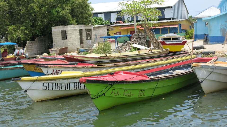 A row of colorful fishing boats docked at a harbor with buildings in the background.