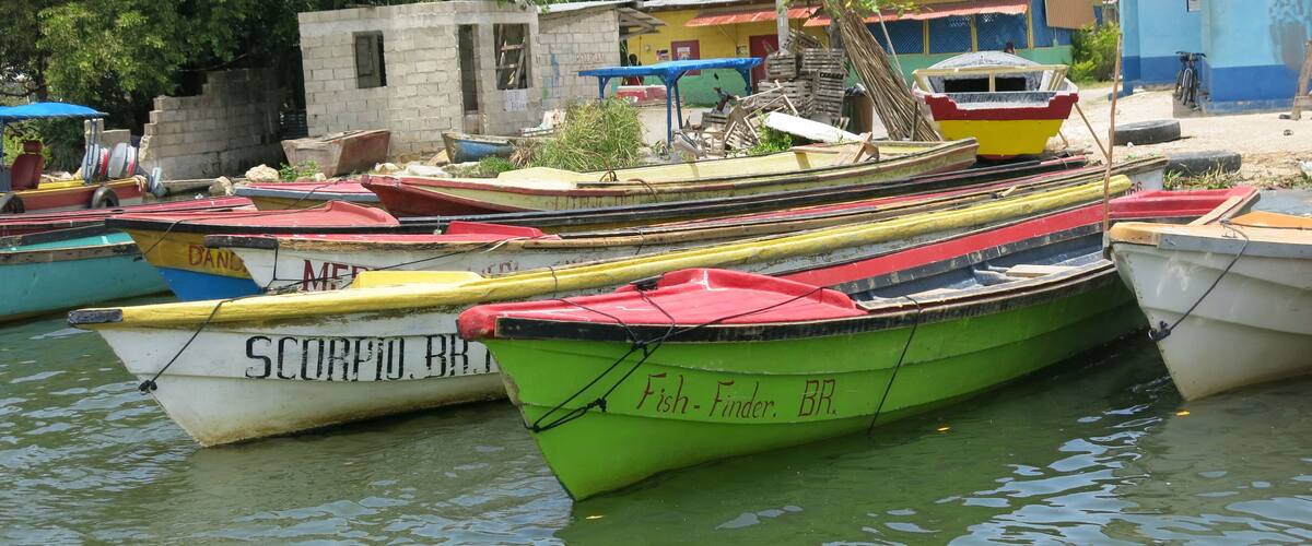 A row of colorful fishing boats docked at a harbor with buildings in the background.