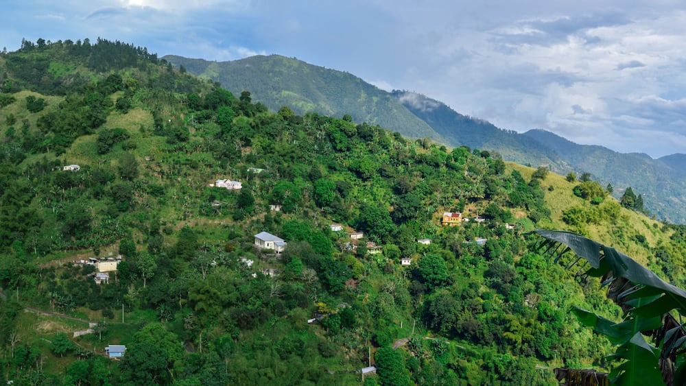 Jamaica North Coast 456