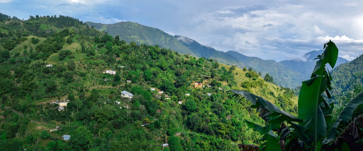 Jamaica North Coast 456