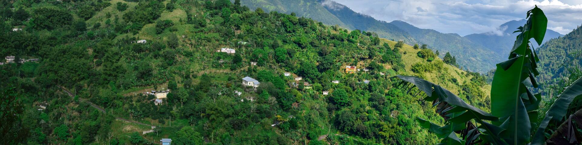 Jamaica North Coast 456