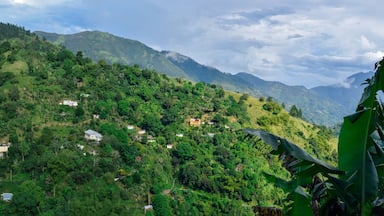 Un paisaje montañoso exuberante y verde con casas dispersas.