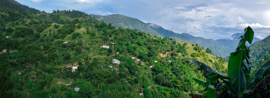 Jamaica North Coast 456