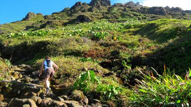 Volcan de la Soufrière, Guadeloupe