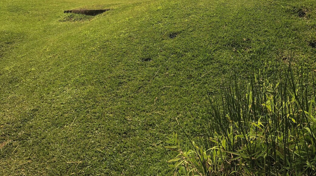 The unknown is the place where your greatest growth lies. Very few, are aware of the butterfly-shaped French Caribbean island of Guadeloupe. Influenced by France, Africa, and its neighbors in the Caribbean, this island is a melting pot of rich cultures.
#Culture #Guadeloupe #FrenchCaribbean #Creole #Bucketlist