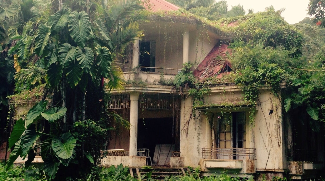 Quand la nature dit non...😉