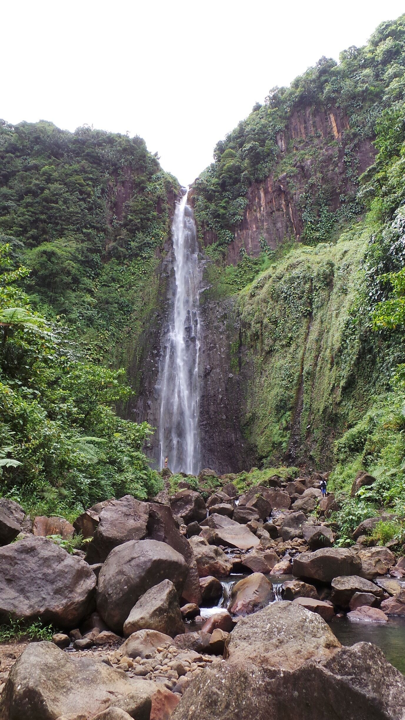 A waterfall cascading down a rocky cliff surrounded by lush greenery.