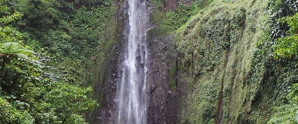 A waterfall cascading down a rocky cliff surrounded by lush greenery.