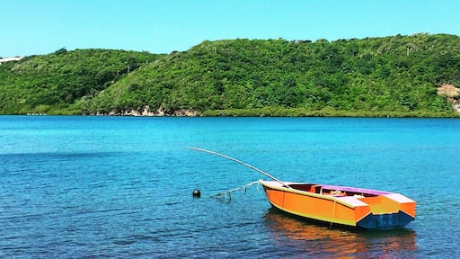 I discovered this quiet little bay on my way to the beach this morning. No one I've asked knows its name but I've got 3 weeks to find out!