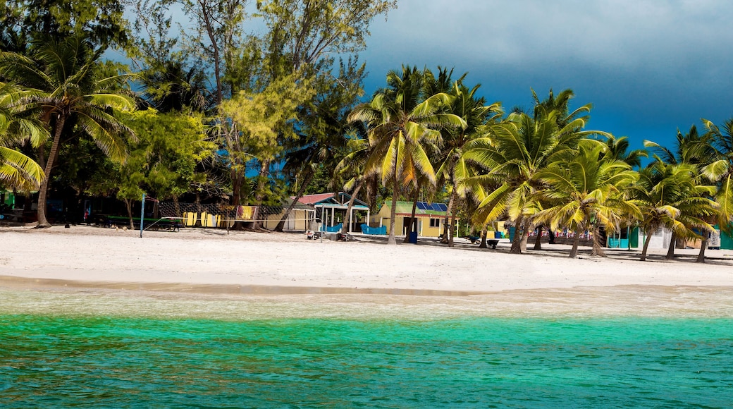 Dominican Republic, Saona Island - Mano Juan Beach. Fishermen's village