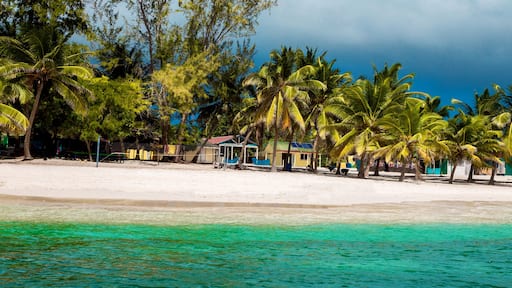 Dominican Republic, Saona Island - Mano Juan Beach. Fishermen's village