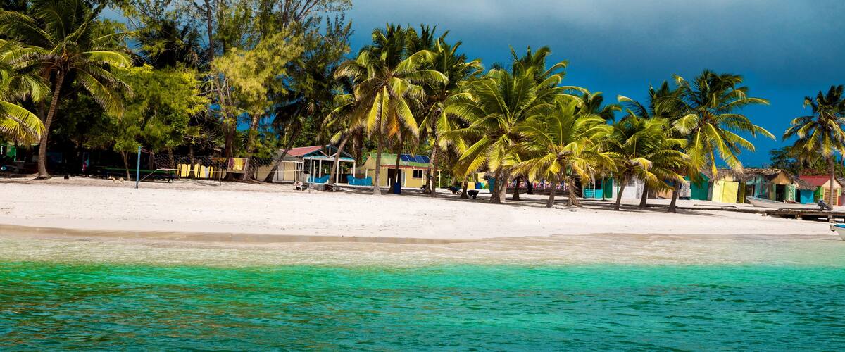A beach with white sand, turquoise water, and palm trees.