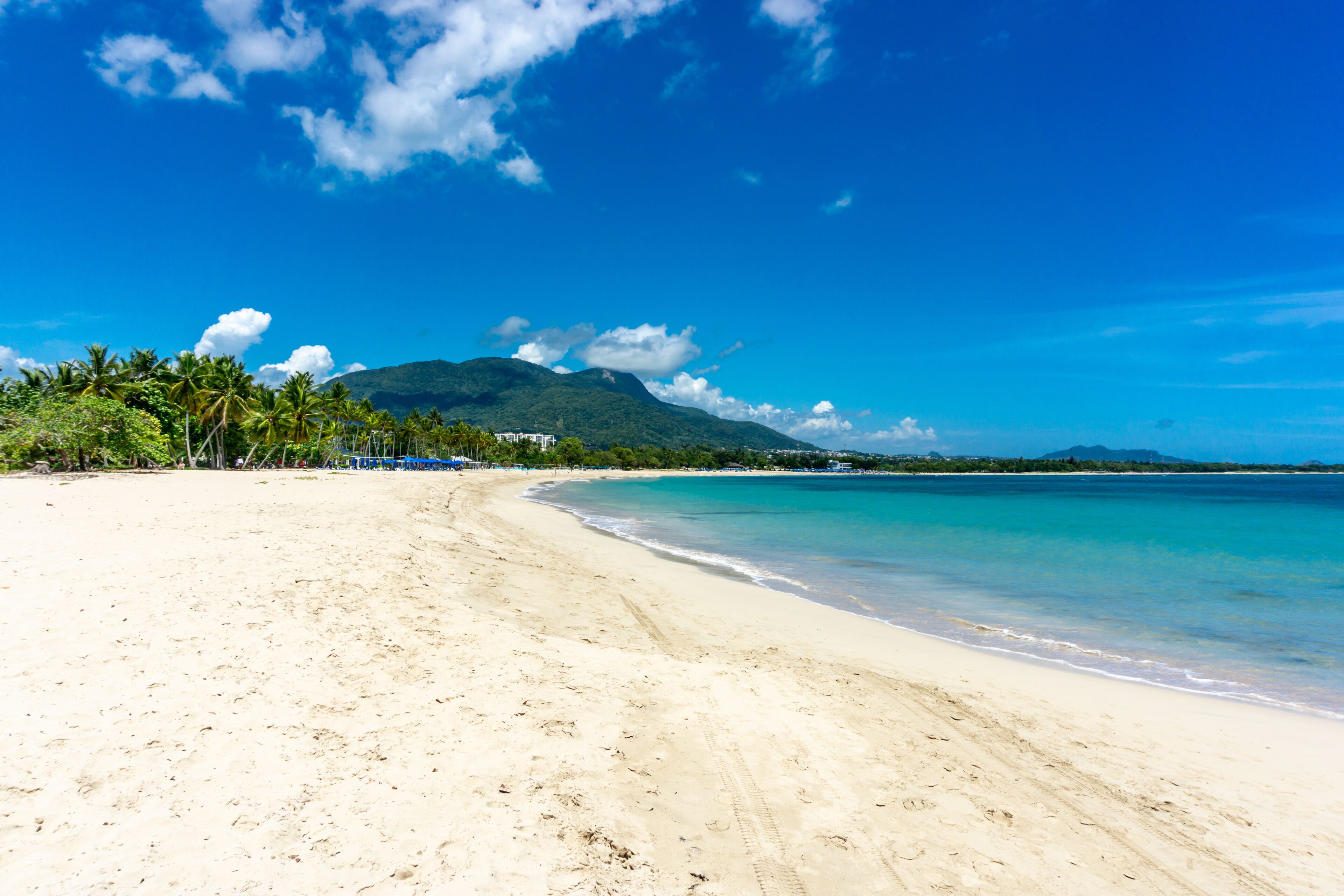 A beach with clear turquoise water, a sandy shore, palm trees, and a mountain in the background.