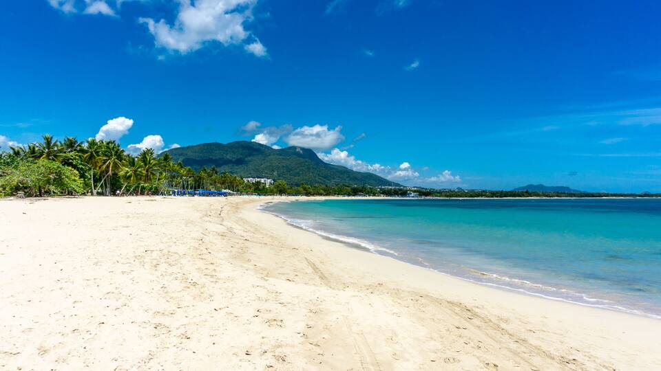 A beach with clear turquoise water, a sandy shore, palm trees, and a mountain in the background.