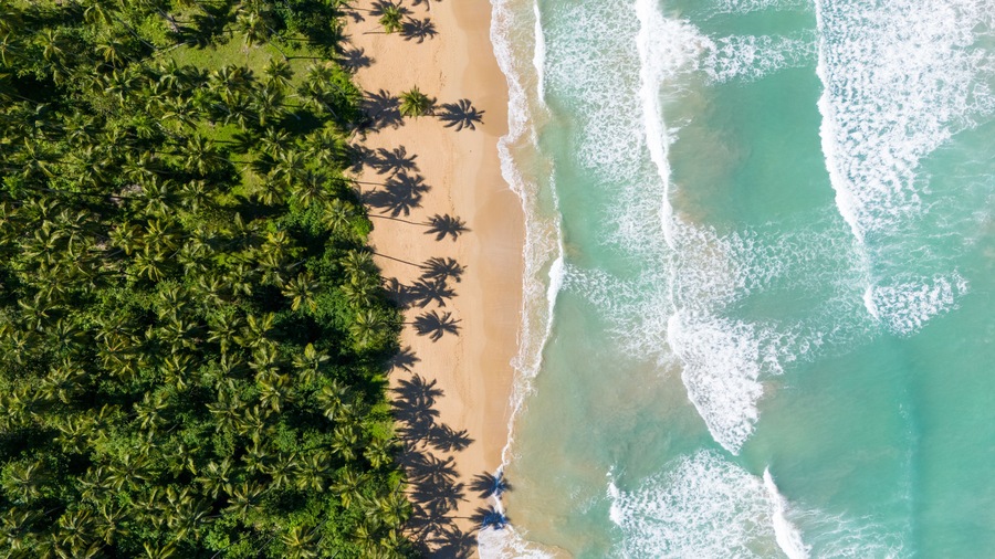 Playa Cosón, Las Terrenas, Samaná, Dominican Republic.