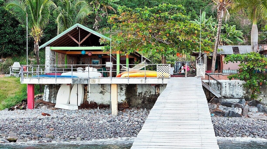 Reputable dive/snorkeling/whale watching outfit just outside Roseau. We only used them for some private whale watching tours, but they seemed friendly enough and well organized. They also get good reviews on TripAdvisor.