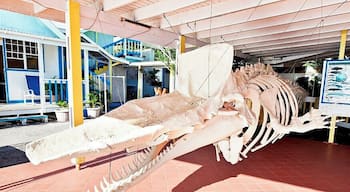 Great deck here where you can grab a beer, watch the sunset and hang out with a 30ft