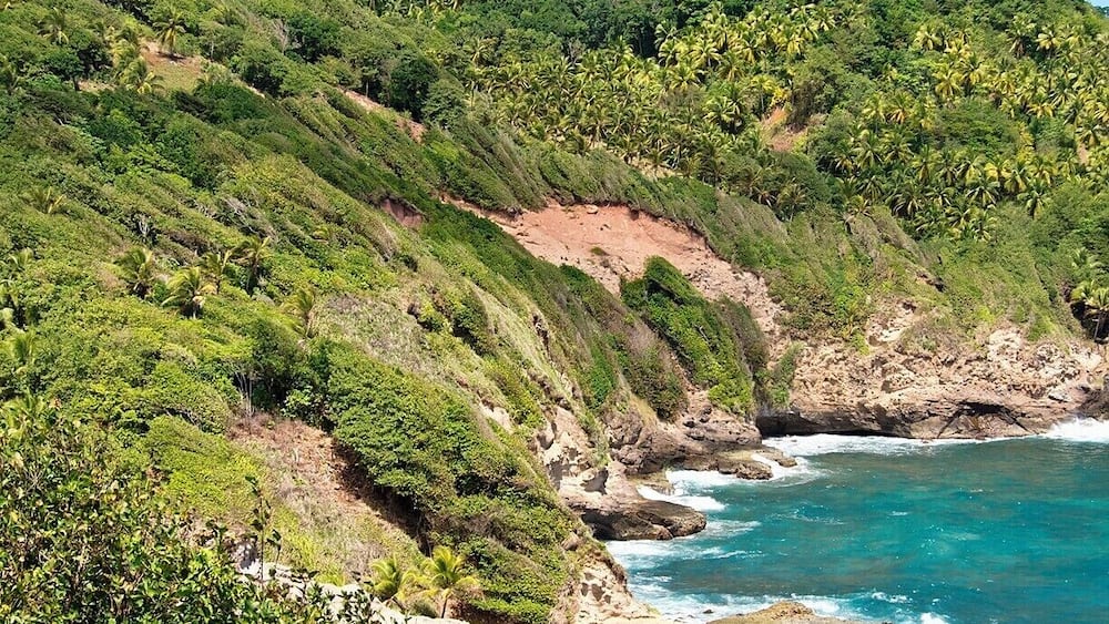 I love the windswept trees and bushes lining the eastern coast. Dominica is right in the heart of Hurricane Alley, and the vegetation here is built to withstand it. The last direct hit was 1995, but it was Hurricane David in 1979 that did the most damage - 145mph winds killed 56 people and left 75% of the island homeless.