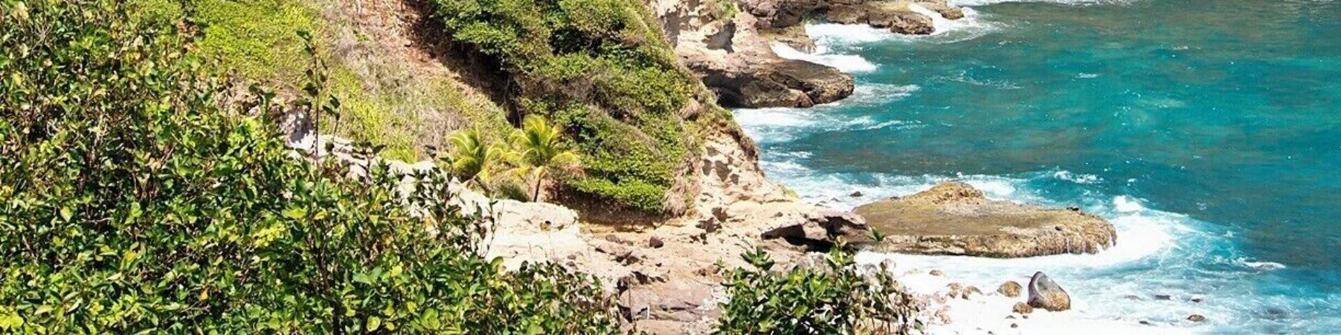 I love the windswept trees and bushes lining the eastern coast. Dominica is right in the heart of Hurricane Alley, and the vegetation here is built to withstand it. The last direct hit was 1995, but it was Hurricane David in 1979 that did the most damage - 145mph winds killed 56 people and left 75% of the island homeless.