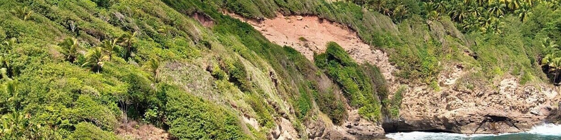 I love the windswept trees and bushes lining the eastern coast.  Dominica is right in the heart of Hurricane Alley, and the vegetation here is built to withstand it.  The last direct hit was 1995, but it was Hurricane David in 1979 that did the most damage - 145mph winds killed 56 people and left 75% of the island homeless.
