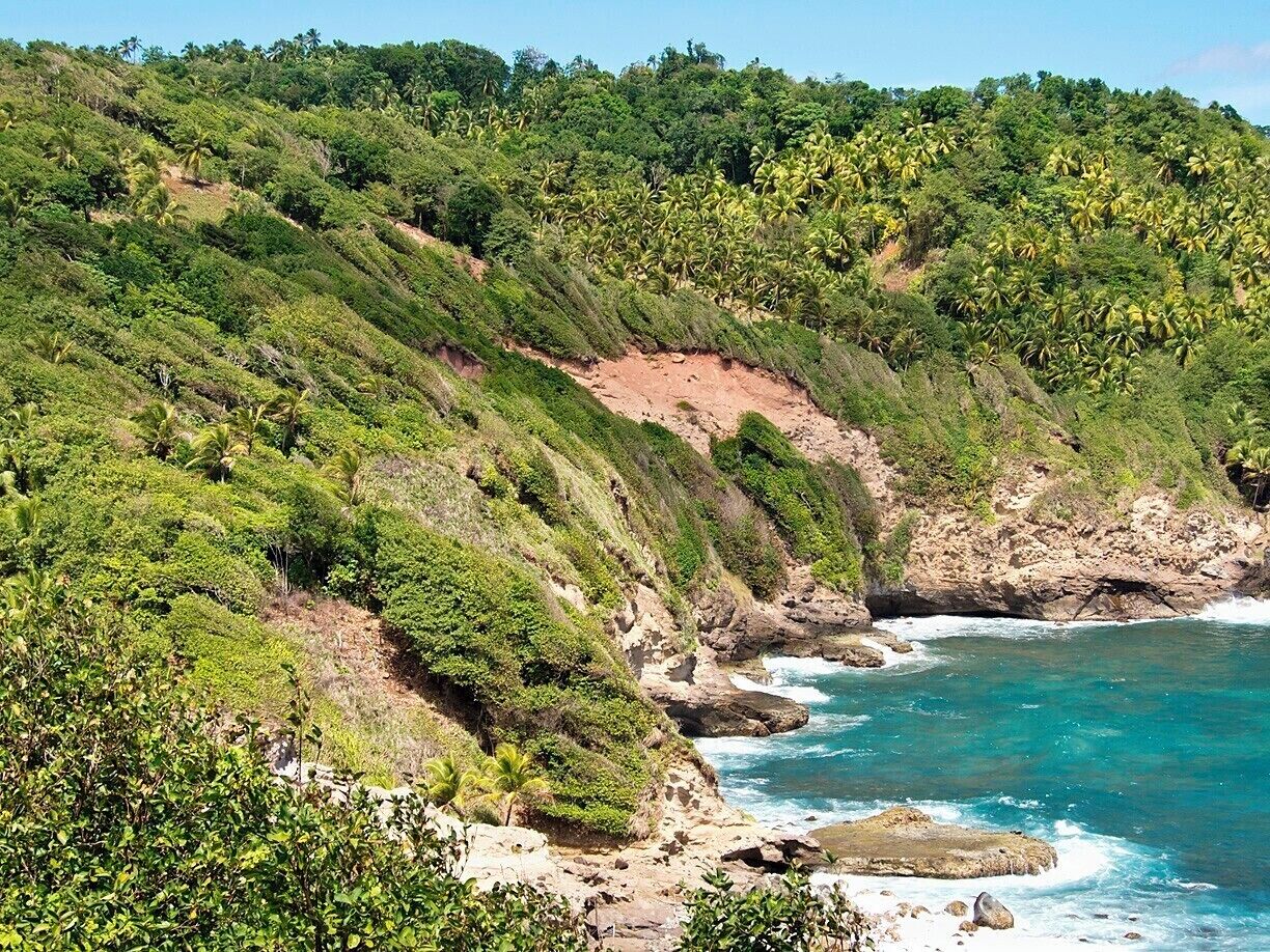 A coastal landscape with steep cliffs, dense greenery, and turquoise ocean waves.