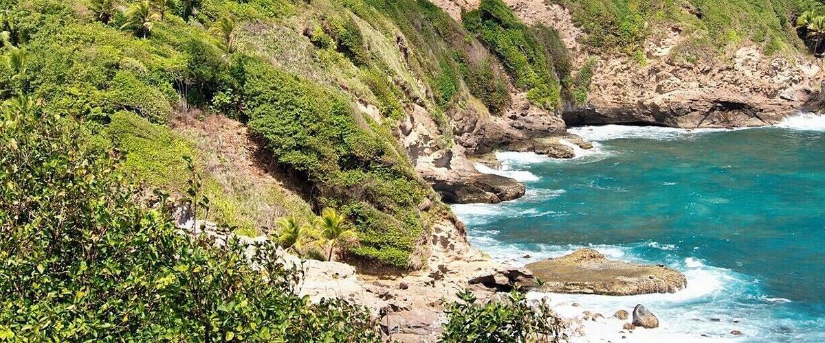A coastal landscape with steep cliffs, dense greenery, and turquoise ocean waves.