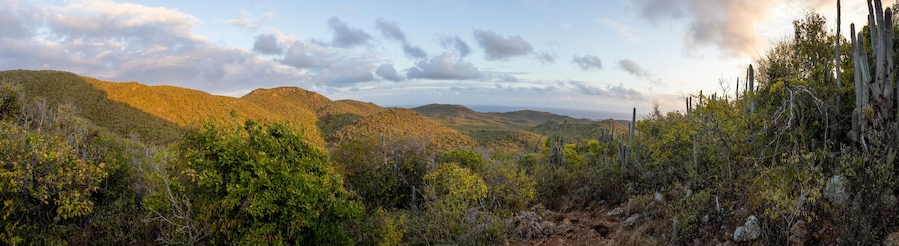 Sunrise over Christoffel National Park during the hike up to the top of Christoffel mountain on the Caribbean island Curacao - panorama