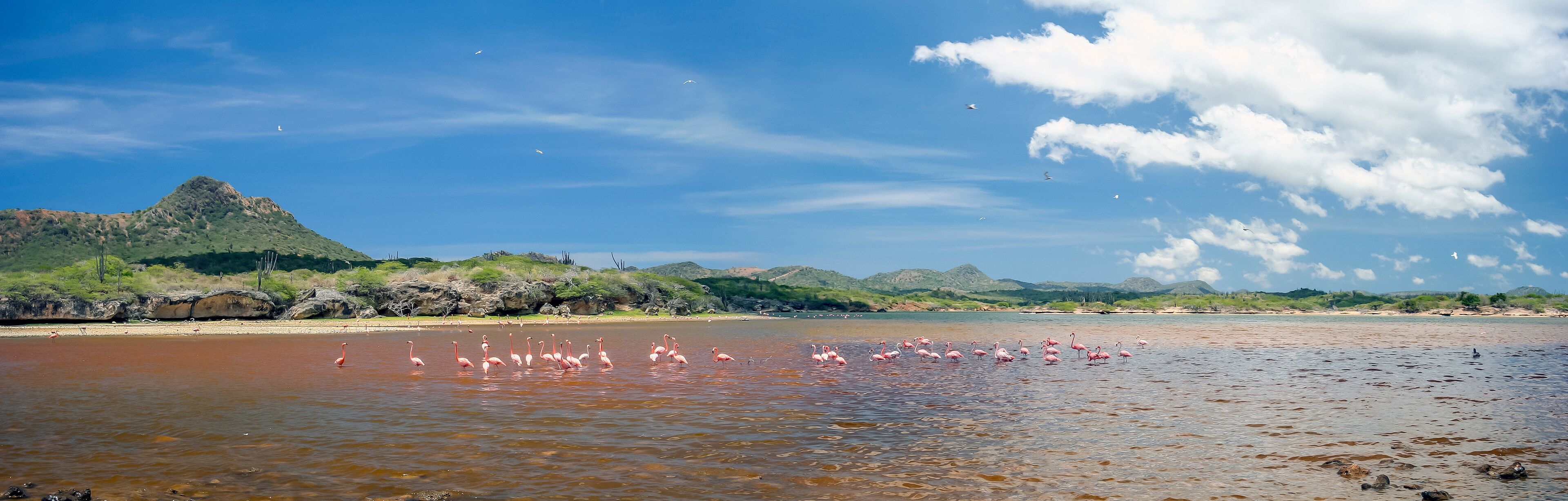 Washington Slagbaai National Park